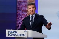 WEB DEL PARTIDO POPULAR NACIONAL